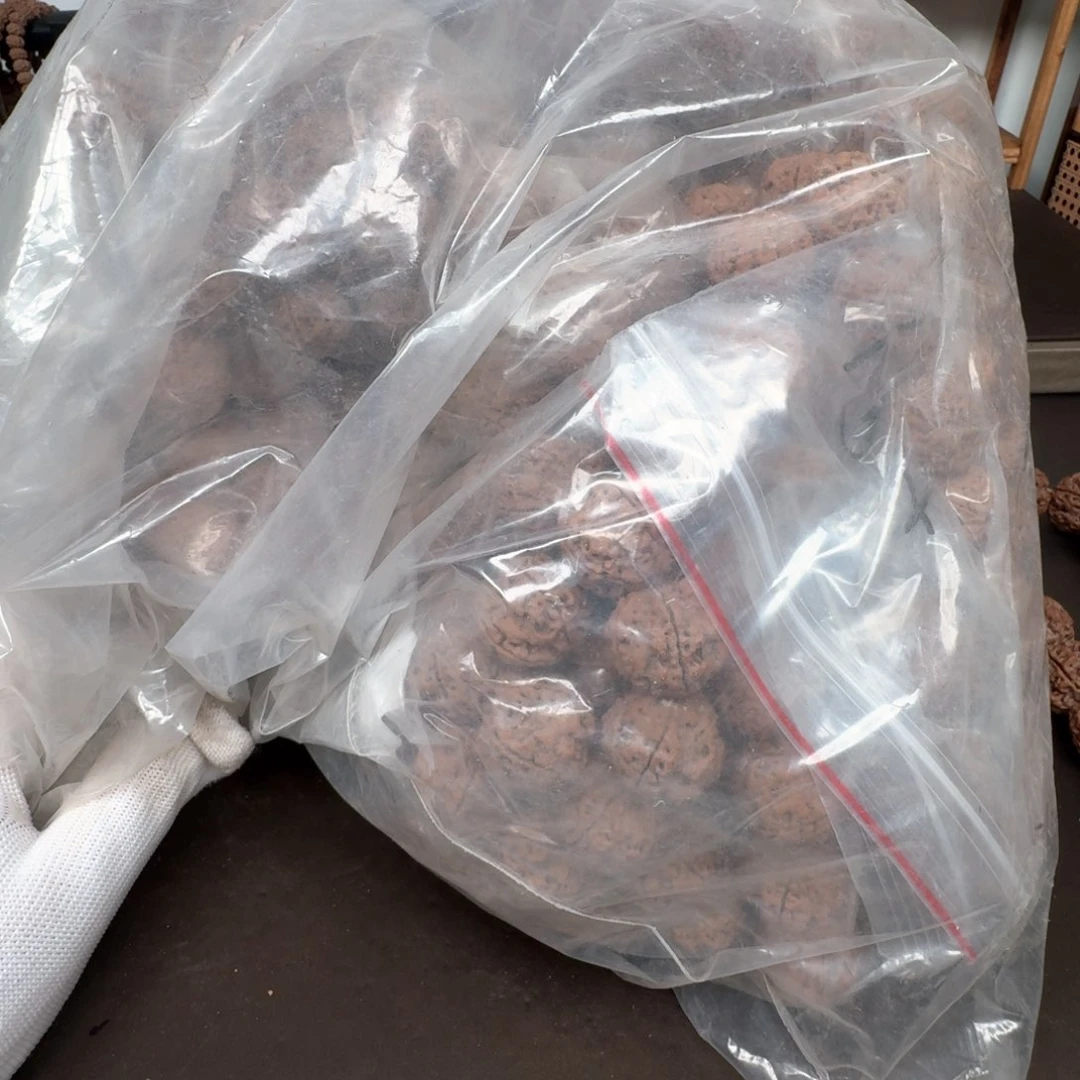 金刚菩提手串V****子散籽一包（不退不换）