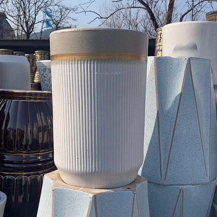 细白绿中口24高38福利