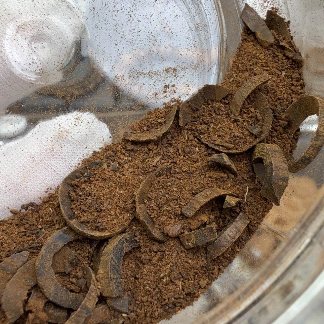 沉香碎屑沉香文莱黑棋沉水品香料2克