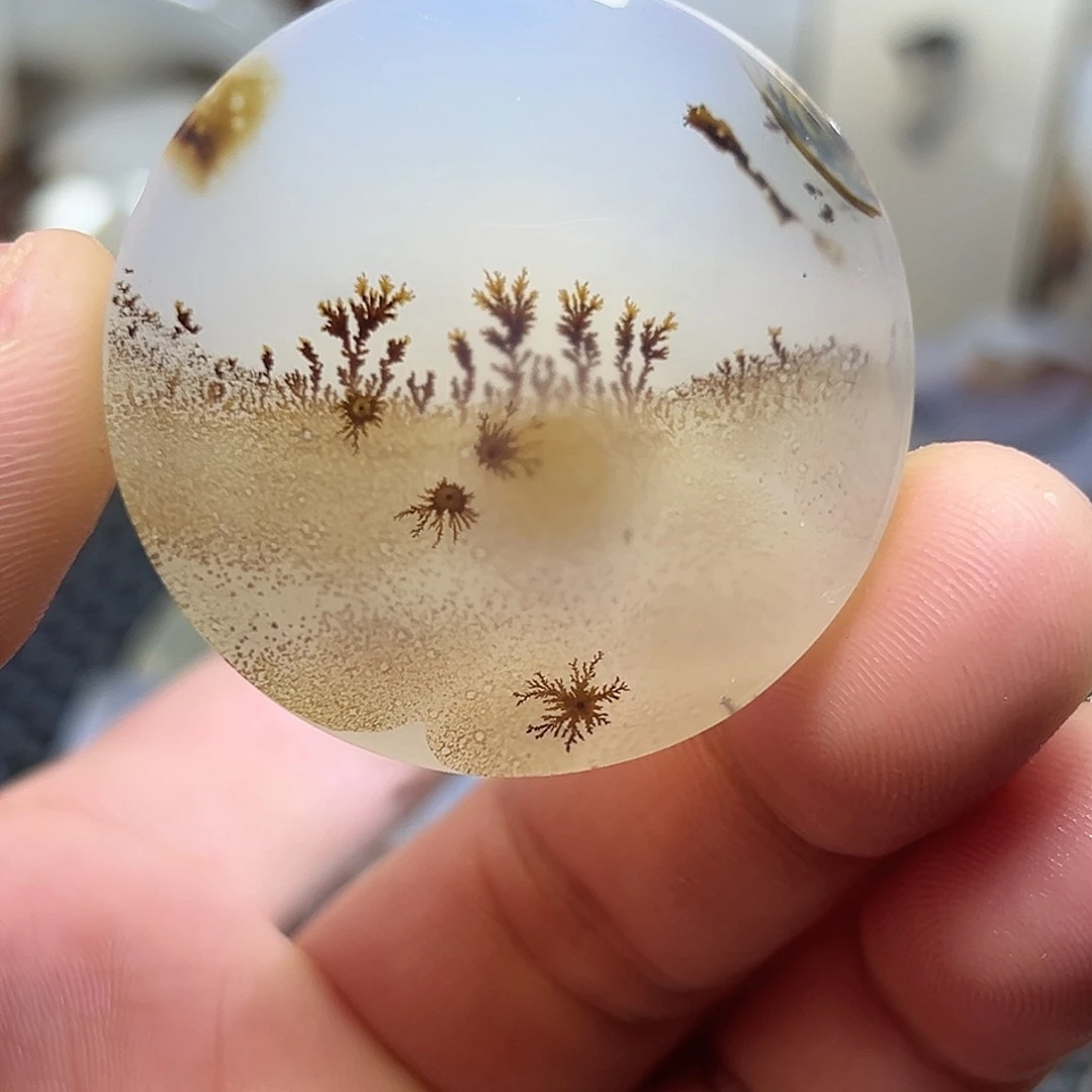 泽***玛瑙/玉髓未镶嵌珠宝半成品