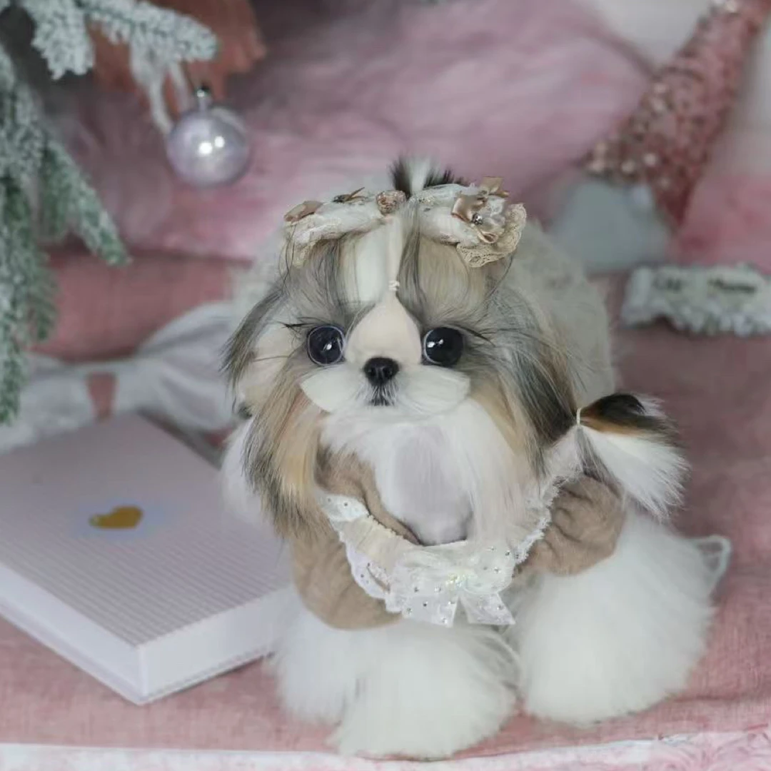 西施弟弟专属补价链接