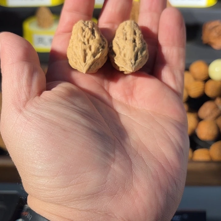 把件桃核小花生-福利！福利