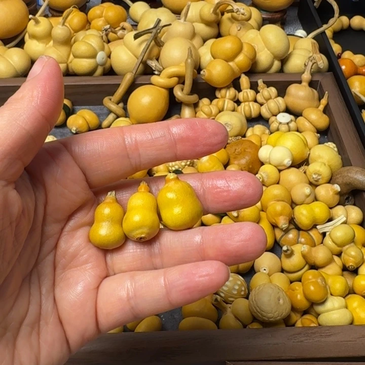 圆**秋我的小可爱们都好可爱