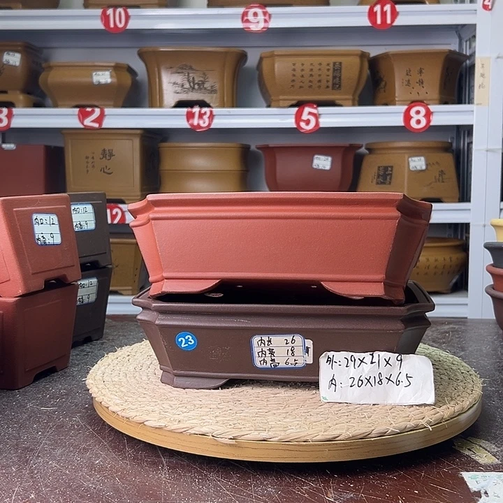 紫砂花盆蛇年大吉
