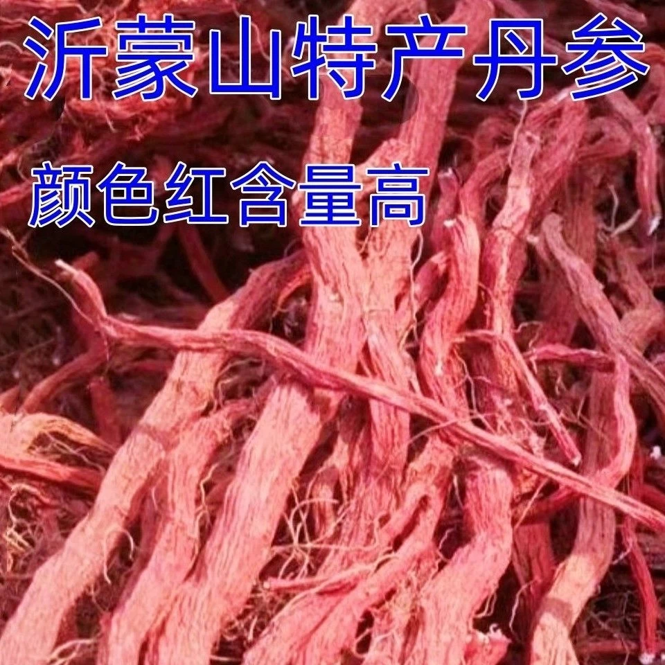 紫花丹参山东丹参正宗中药材泡水喝打粉整根整条发汗丹参