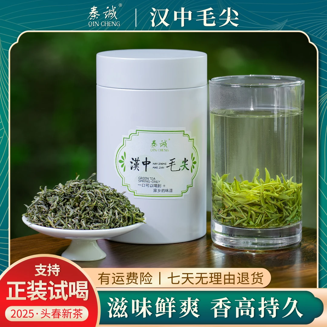 2025新茶绿茶明前毛尖春茶手工采摘嫩叶嫩芽汉中毛尖高山云雾茶叶