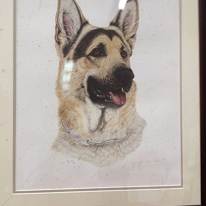 杨***胜中古回流作品欣赏