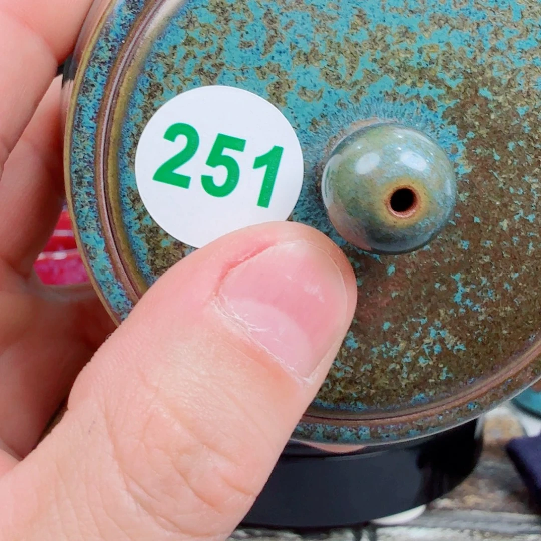 明***e瓷片2025钧瓷直播福利专场251