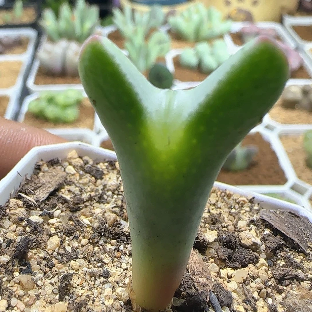 哈哈哈哈哈哈哈58024