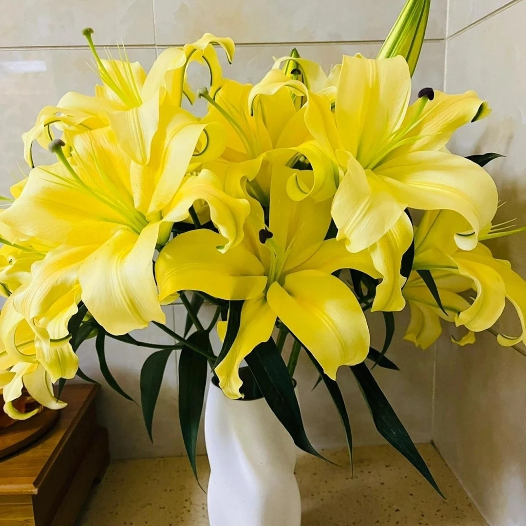 两头黄百合5支（10个花头）云南鲜切花基地 批发花店
