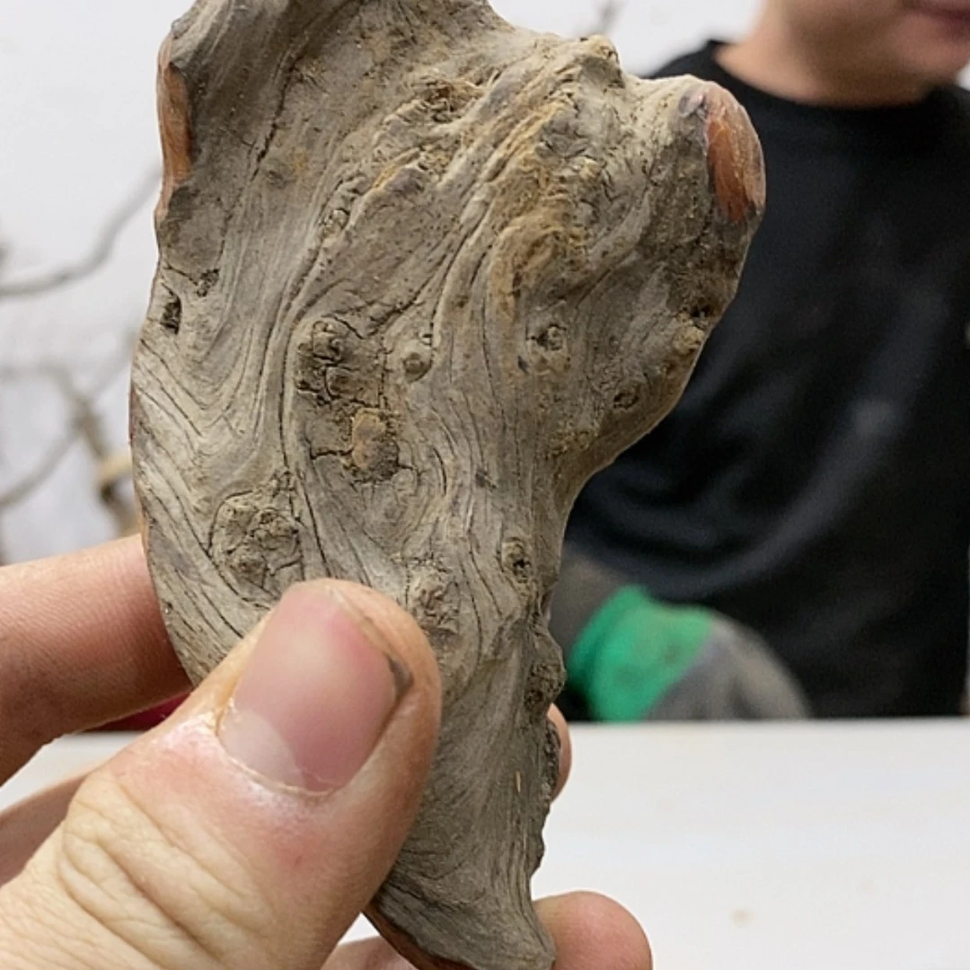【闪购商品】柏木光*?我们都是好孩子