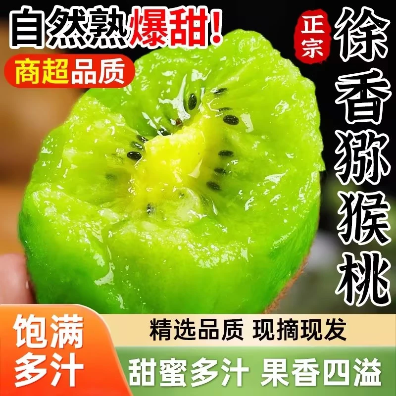 【正宗陕西徐香猕猴桃】奇异果当季新鲜水果现摘现发GQ