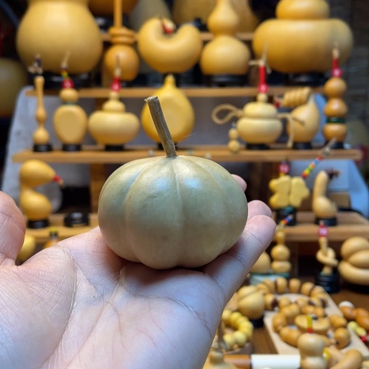 心***5天然葫芦自然生长