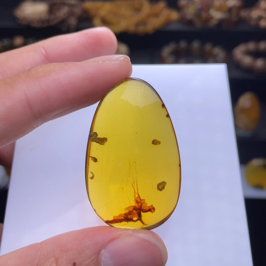 琥珀未镶嵌颈饰植物意境