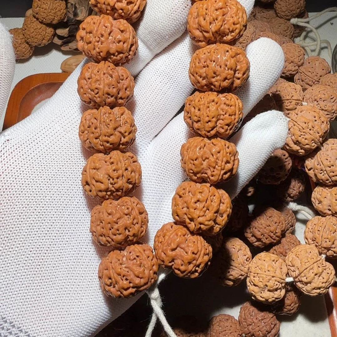 金刚菩提手串G*。金刚菩提 一物一图