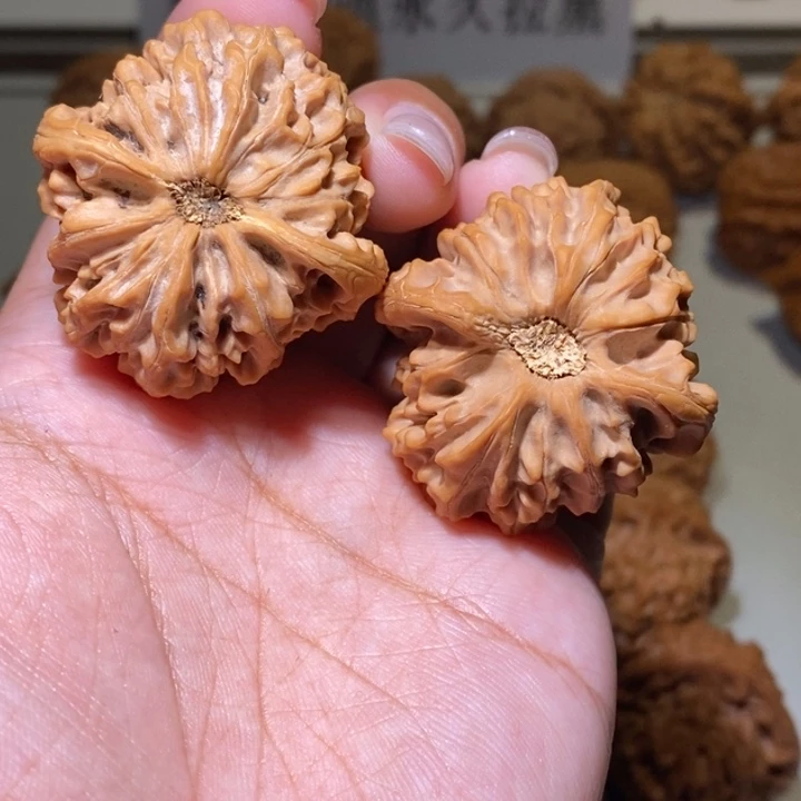 星***际手串/手链核桃龙门