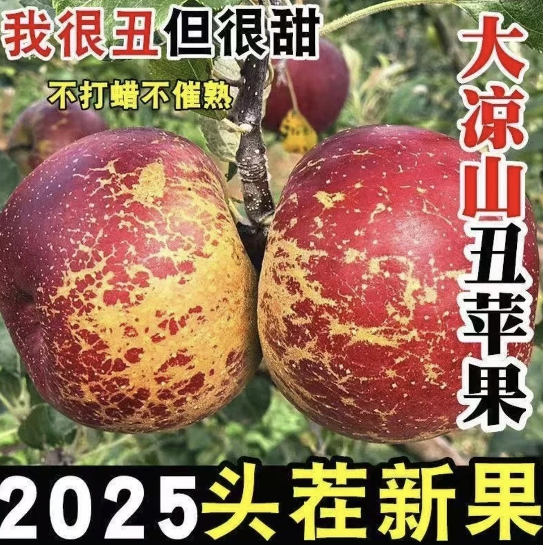 四川大凉山盐源糖心丑苹果皮薄肉厚现摘现发当季新鲜脆甜水果