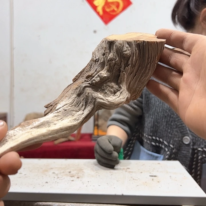 柏木何*军我们的生活是