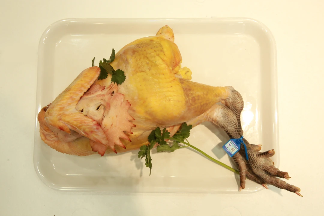 新疆散养土鸡-新鲜鸡