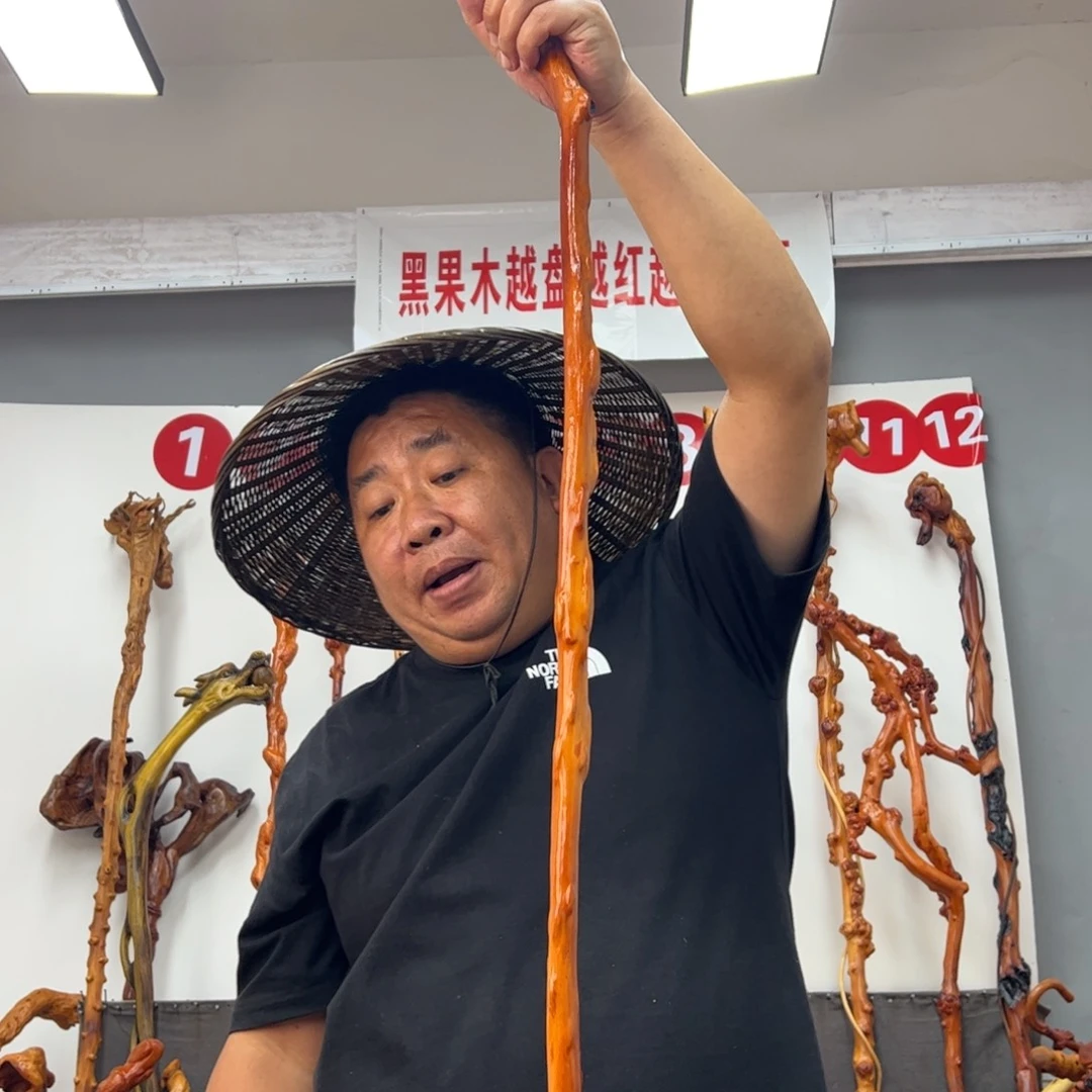 户***山黑果木其他黑果木642