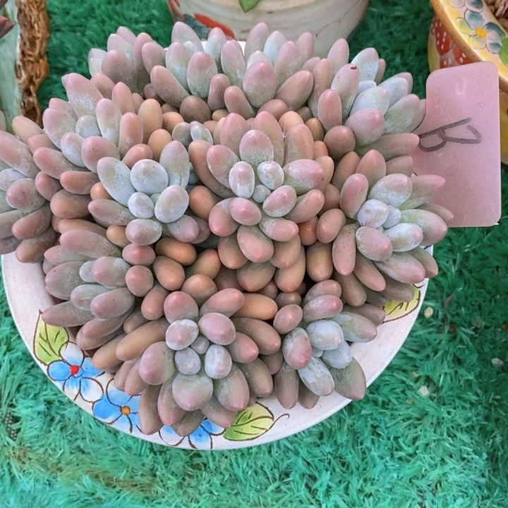这种现象就称它有三点