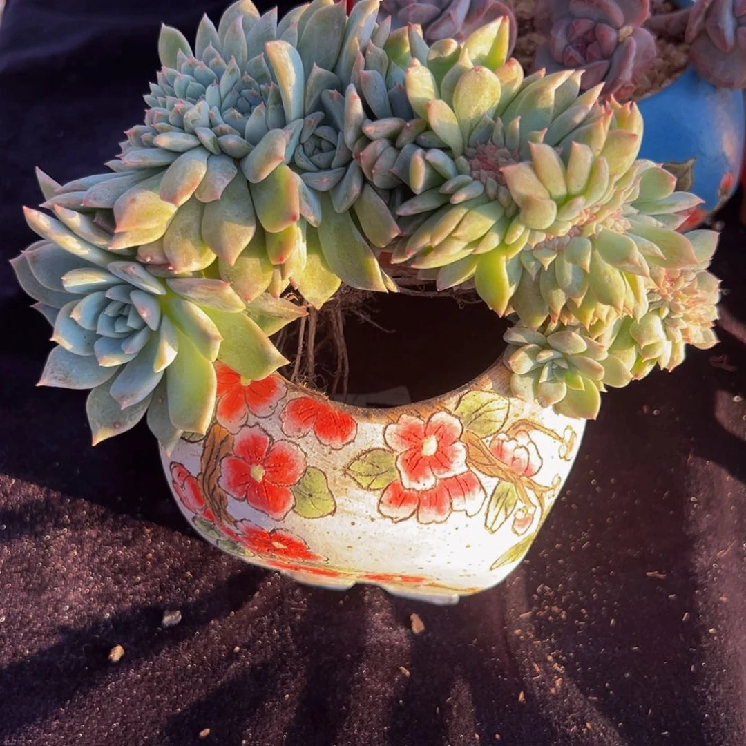 星***?新年快乐 新年快乐 新年快乐