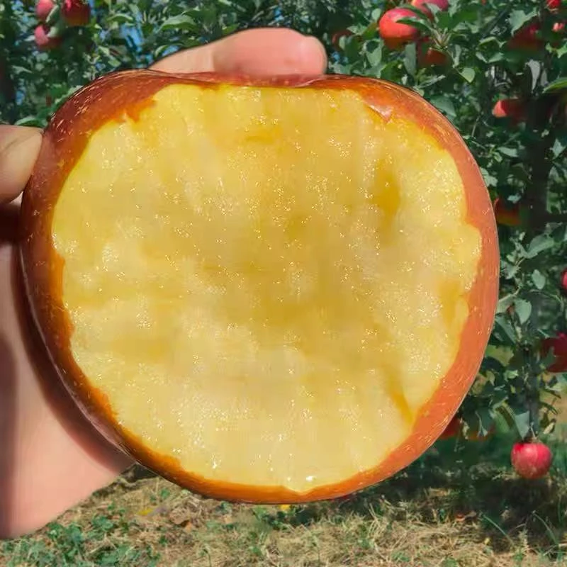 山西运城临猗红富士冰糖心脆爽清甜现摘先发苹果新鲜水果礼盒装