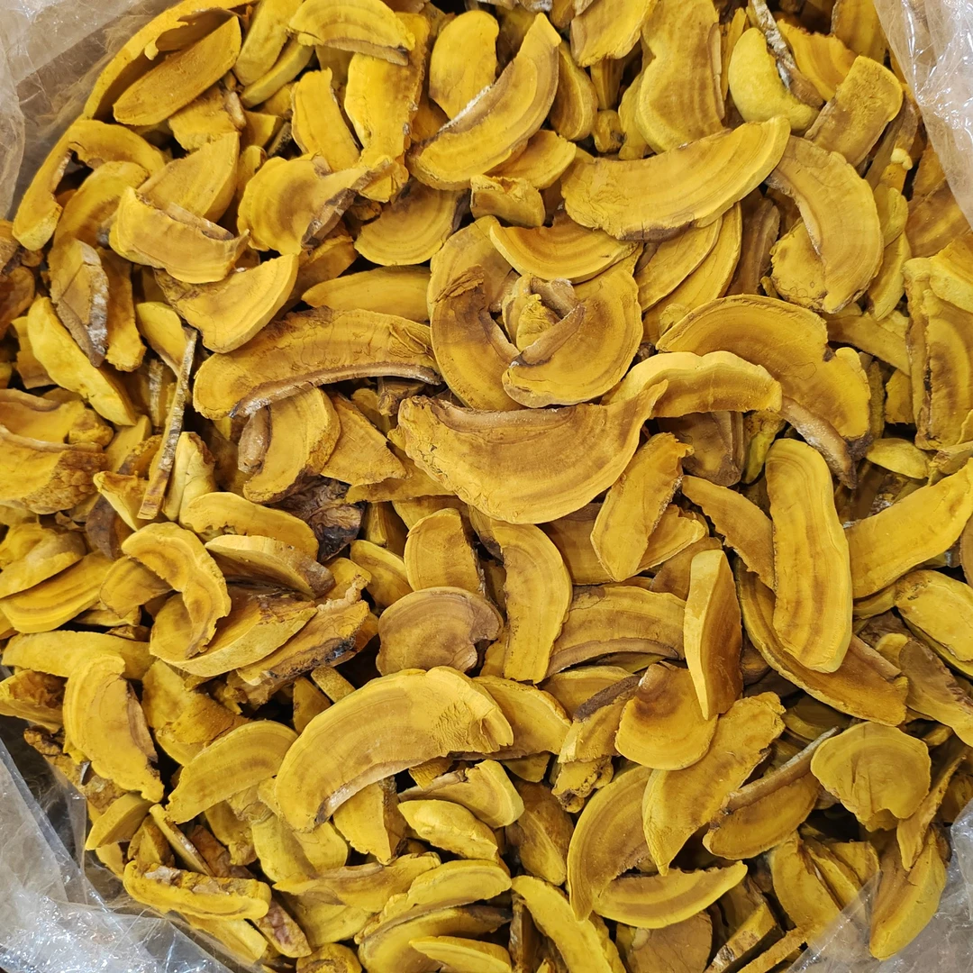 桑黄灵芝滋补品可搭配石斛一起煮水