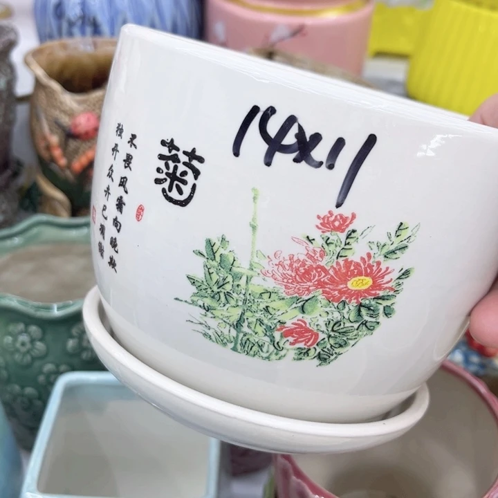 多肉植物陶瓷花盆