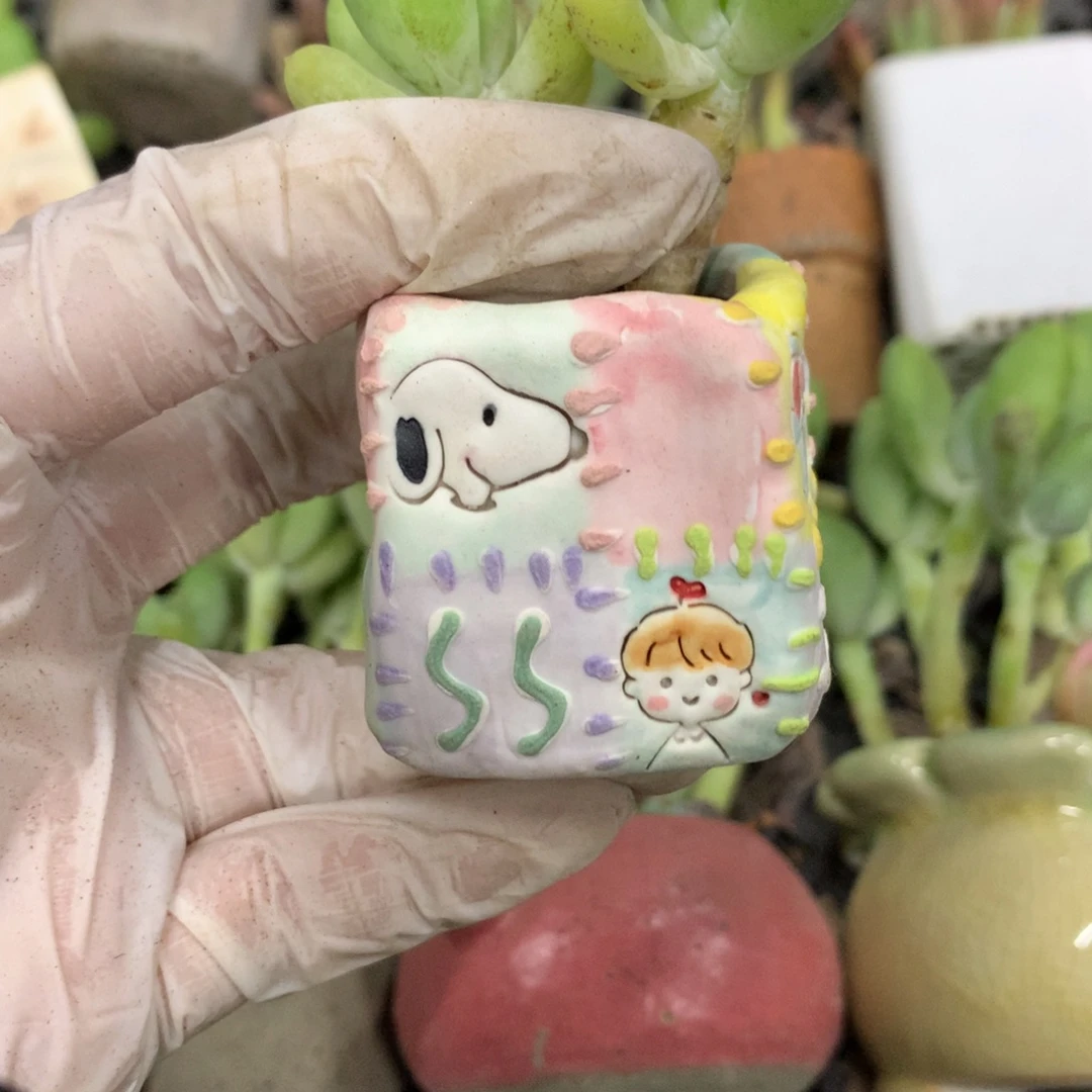 ****～花盆和高后给哈更尴尬