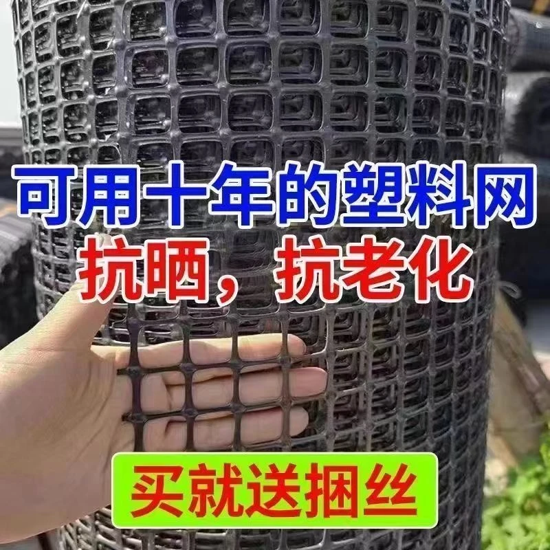 塑料网养鸡鸭围栏网养殖网果园菜园圈地鱼塘防护网玉米网户外围网