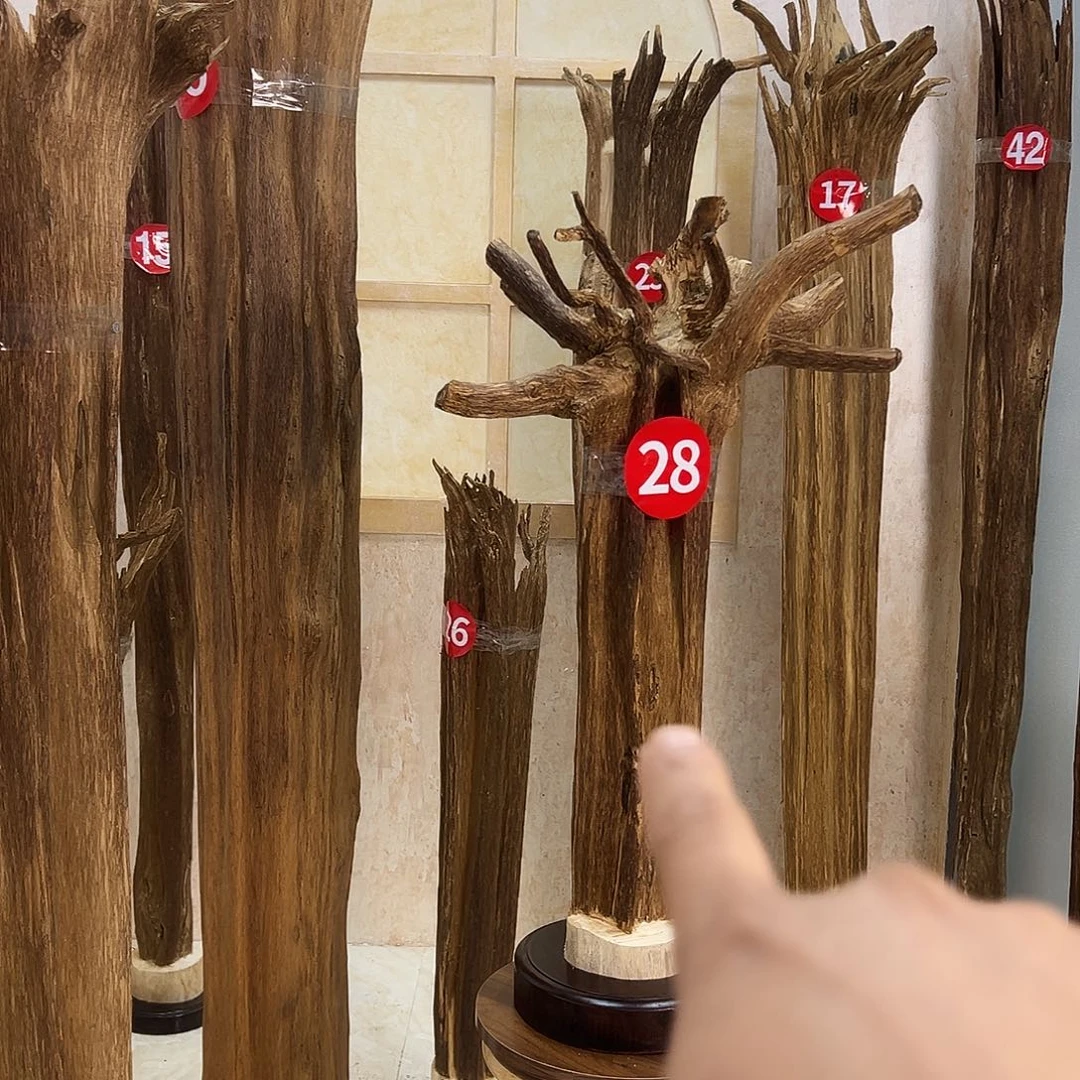 宋****沉香沉香碎屑沉香