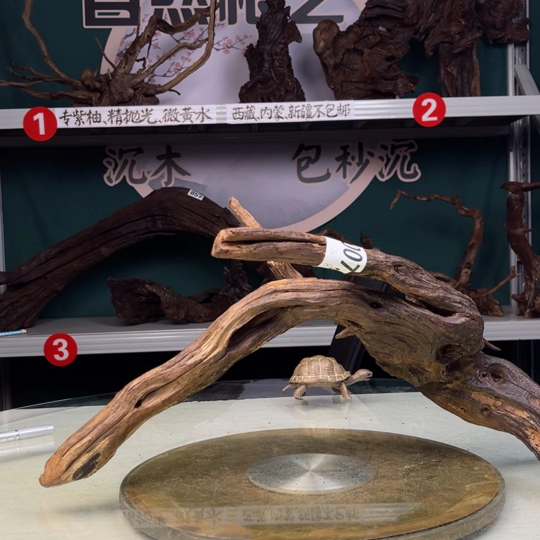 核桃木/黑胡桃（胡桃木）子*72