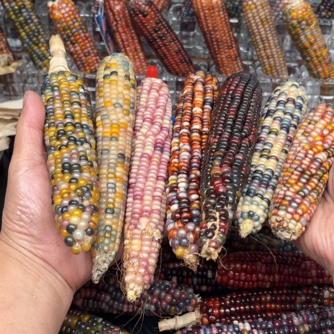 柏香籽/百香籽吊坠一***?