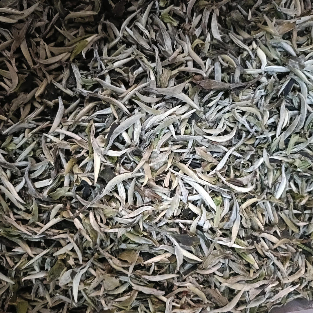 味老泡古树散茶白牡丹
