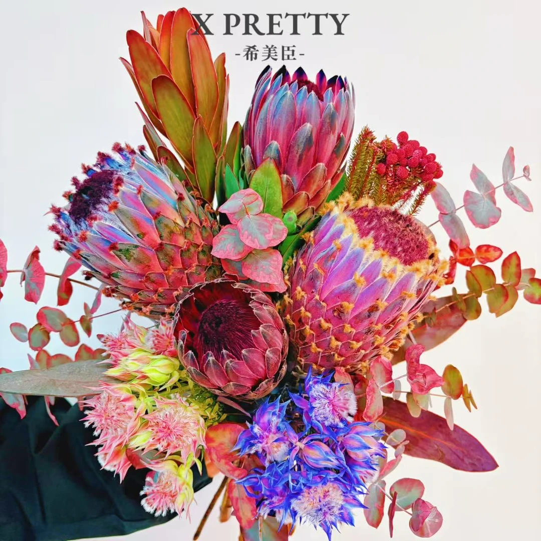 【暗香疏影】超A级 南非进口花 鲜切花存放时间久可做干花