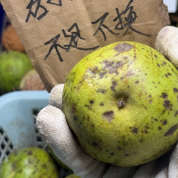 M***哥四座楼福利活动不退不换