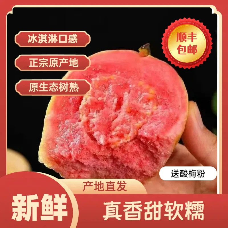 顺丰包邮漳州红心番石榴香糯软芭乐新鲜奶油冰淇淋口感应季水果