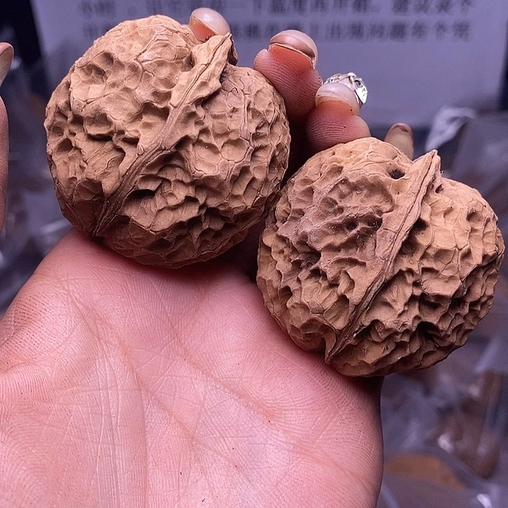 核桃云南野生铁核桃181号43mm