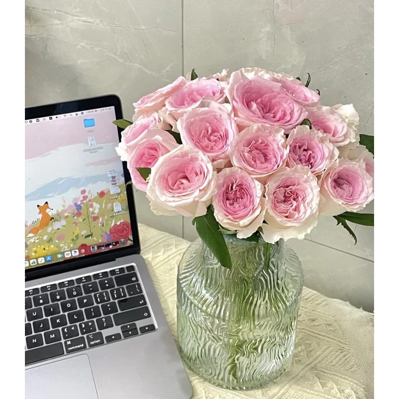 （小朱推荐）洛神10支组合 鲜花速递_花卉仿真_绿植园艺 云南基地直