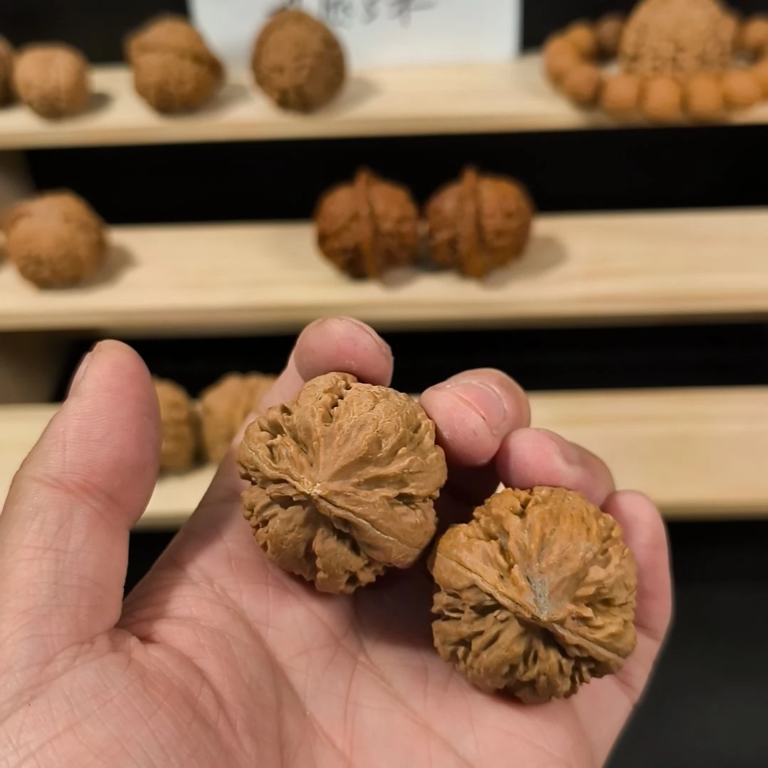 吊坠文玩核桃36霸王龙