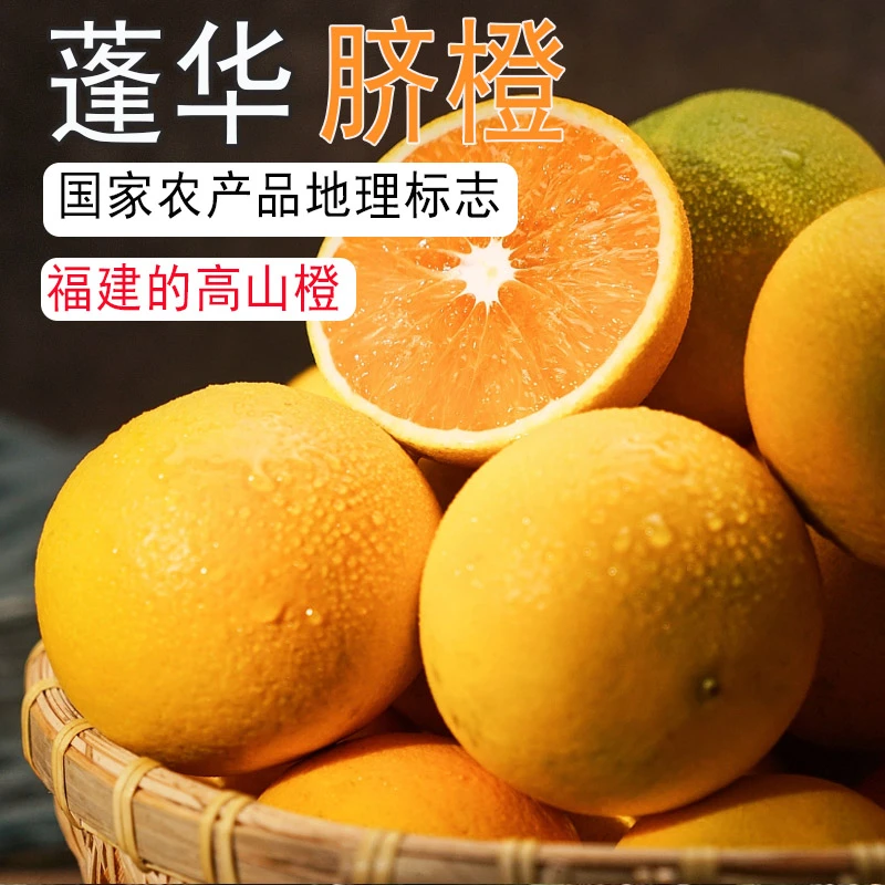 送礼彩盒装【蓬华脐橙】正宗福建蓬华橙子当季新鲜甜橙应季水果脐橙