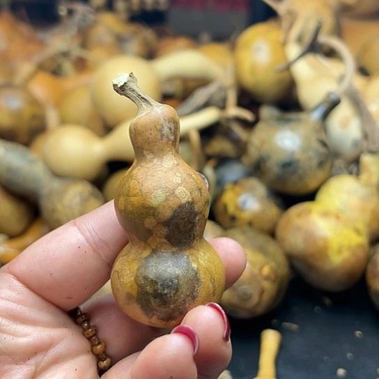 翠*轩葫芦葫芦葫芦葫芦葫芦