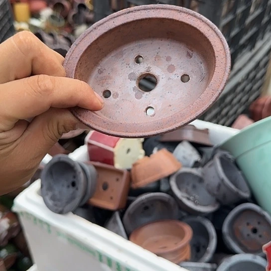 不去看书啊哈是真的想吐是