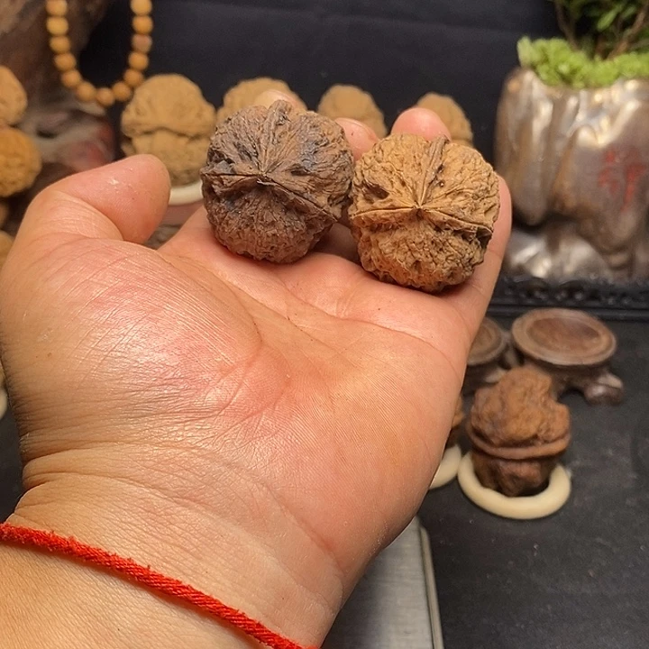 吊坠文玩核桃云南铁核桃27