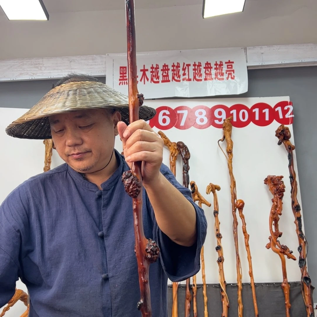 天***空黑果木其他黑果木428
