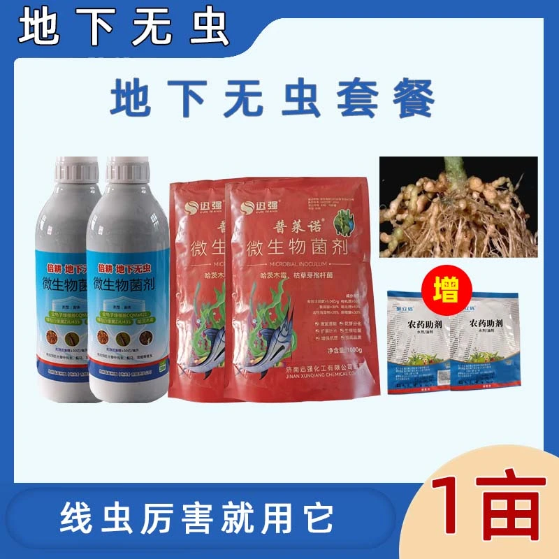 【地下无虫套餐】预防治疗根结线虫 效果突出