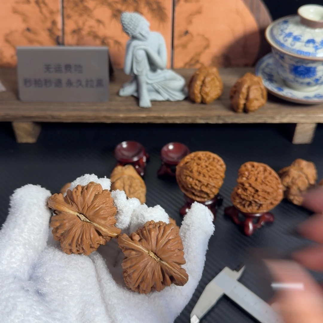 46老树一代全品四座楼