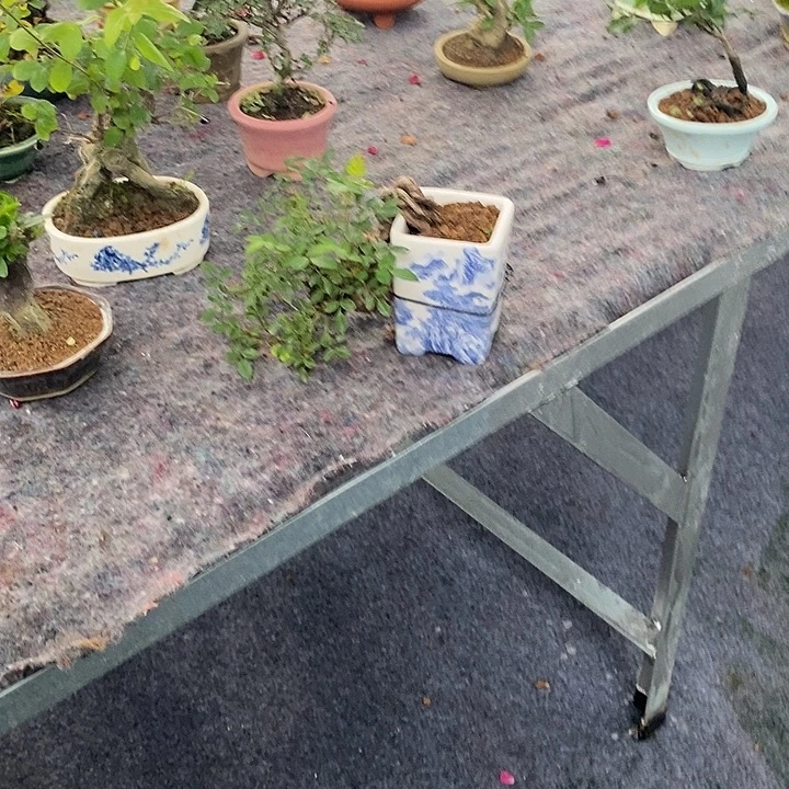悬崖庄型的红yi cong以直播间识图为准
