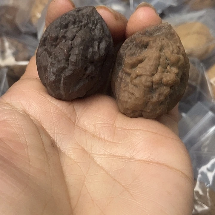 把件文玩核桃云南铁核桃基地3